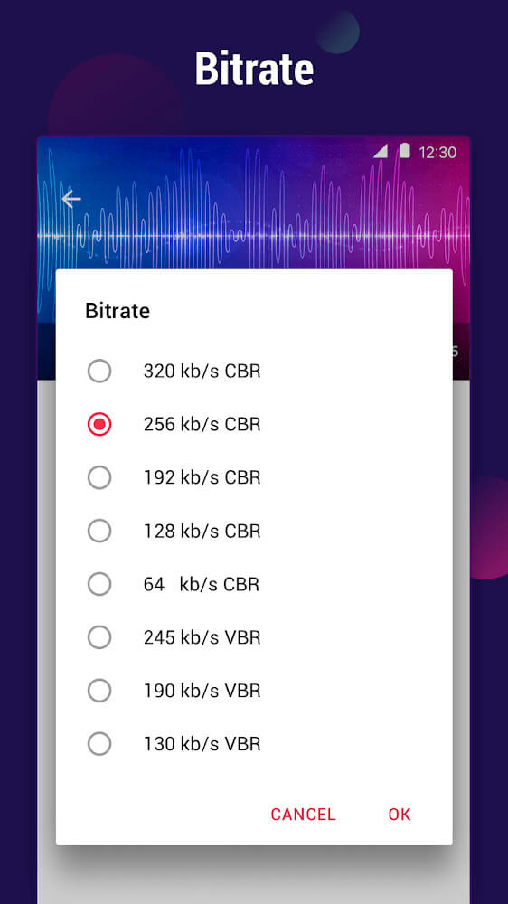 Video to MP3 Converter