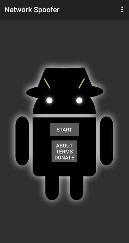 Network Spoofer