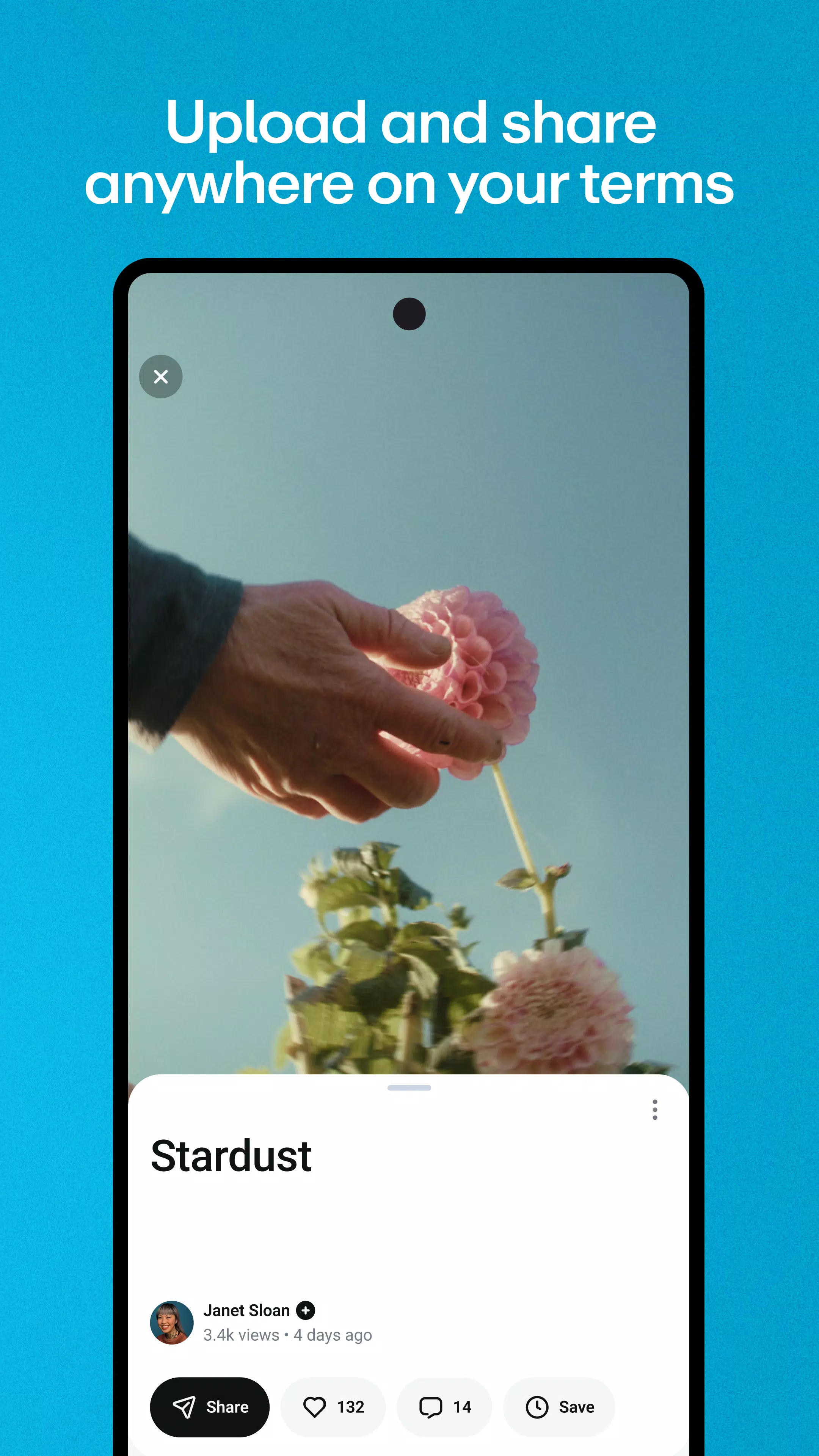 Vimeo