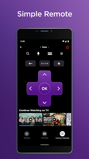 Roku Mod