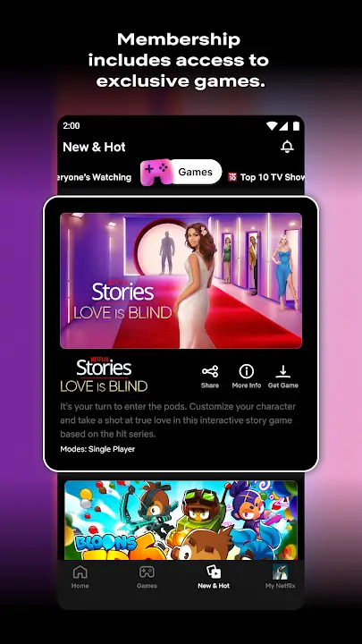 Netflix Premium