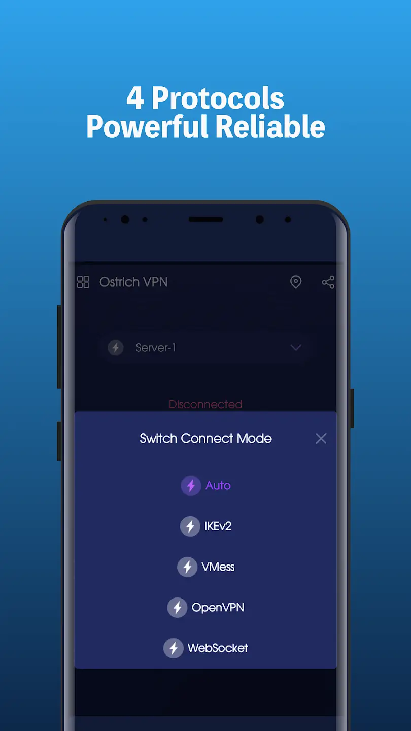 Ostrict VPN