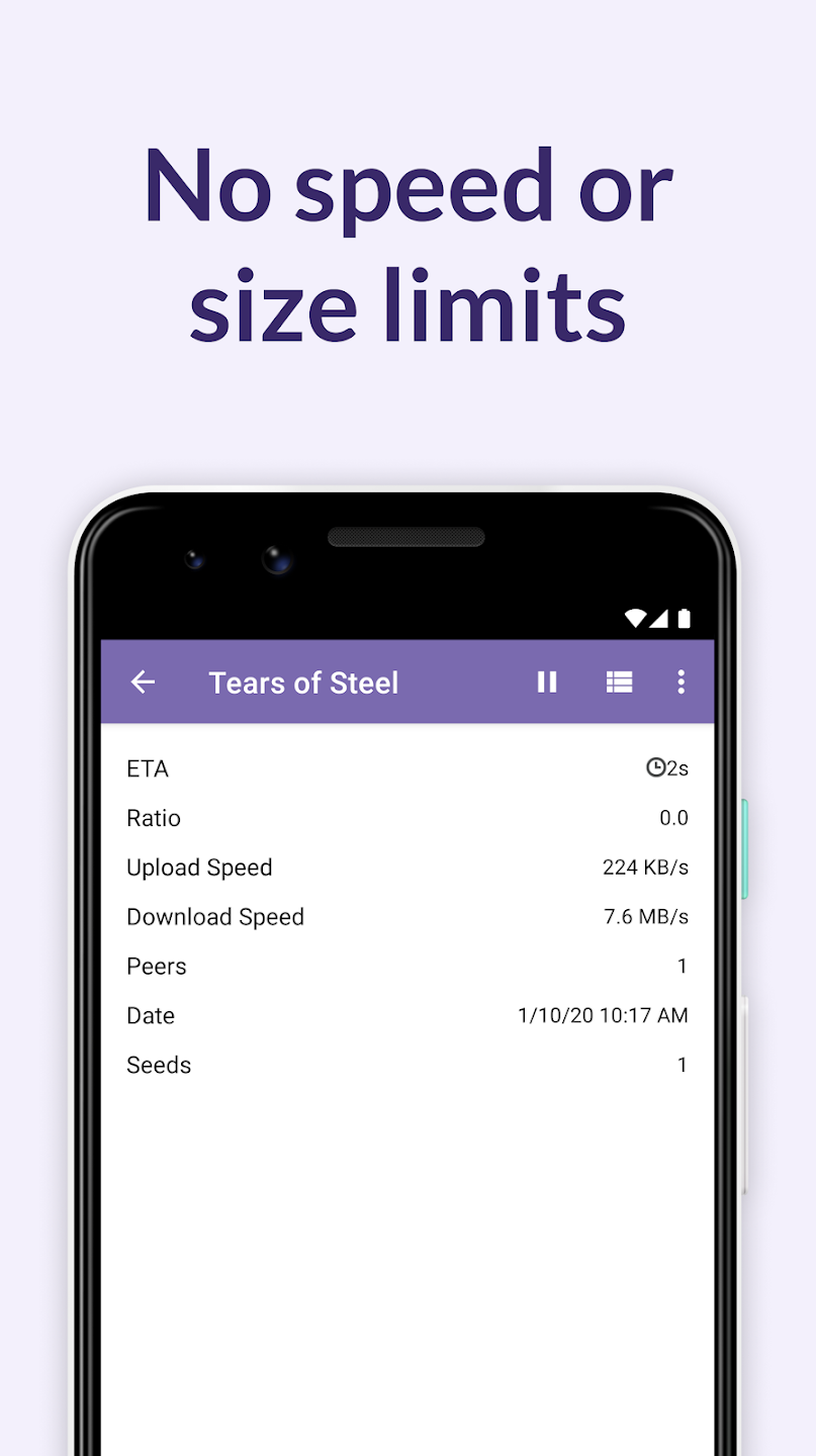 BitTorrent Pro
