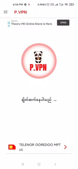 P-VPN
