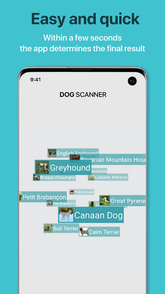 Dog Scanner Dog Scanner