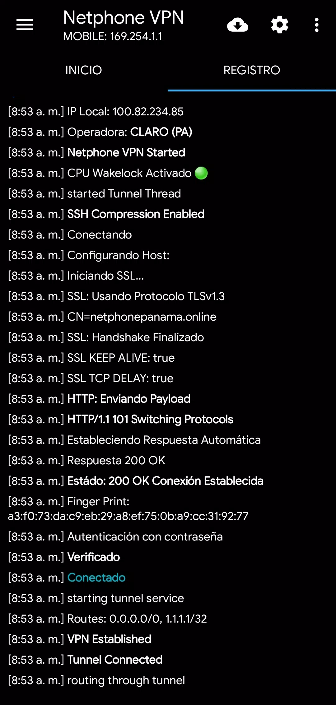 Netphone VPN v13 Netphone VPN v13