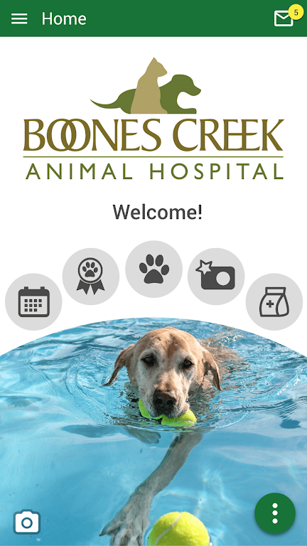 Boones Creek Animal Hospital app