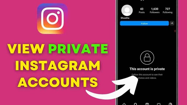 Private Account Stalk