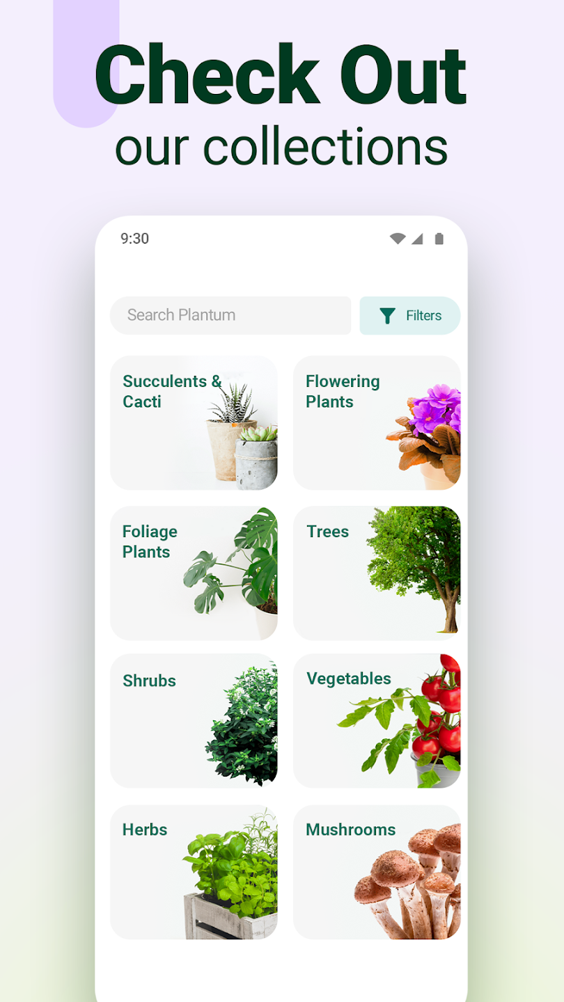 Plantum