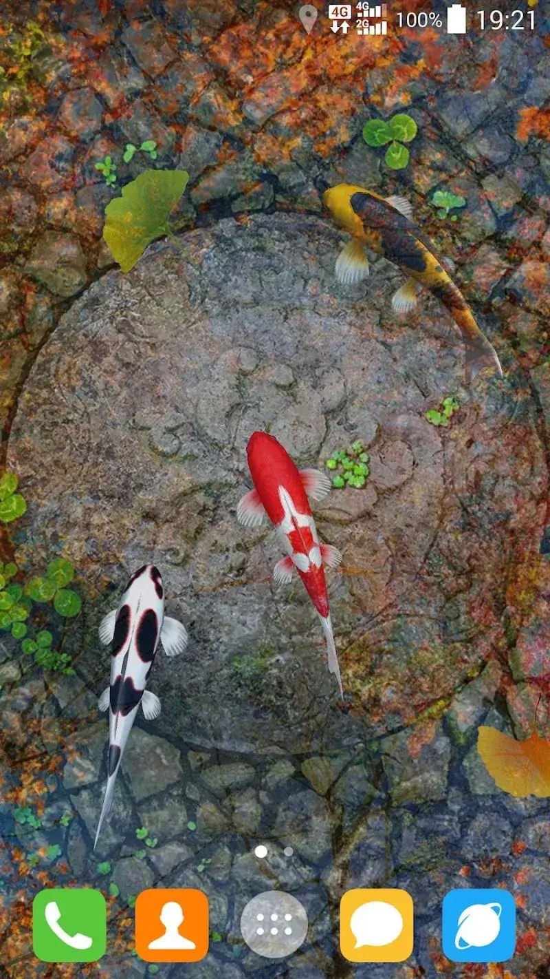 Water Garden Live Wallpaper Water Garden Live Wallpaper