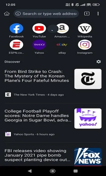 Kiwi Browser
