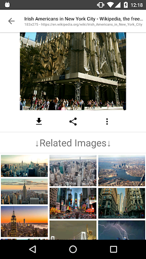 ImageSearchMan