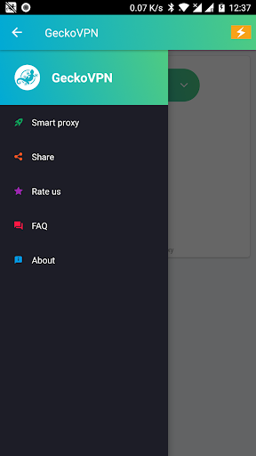 GeckoVPN Unlimited Proxy VPN
