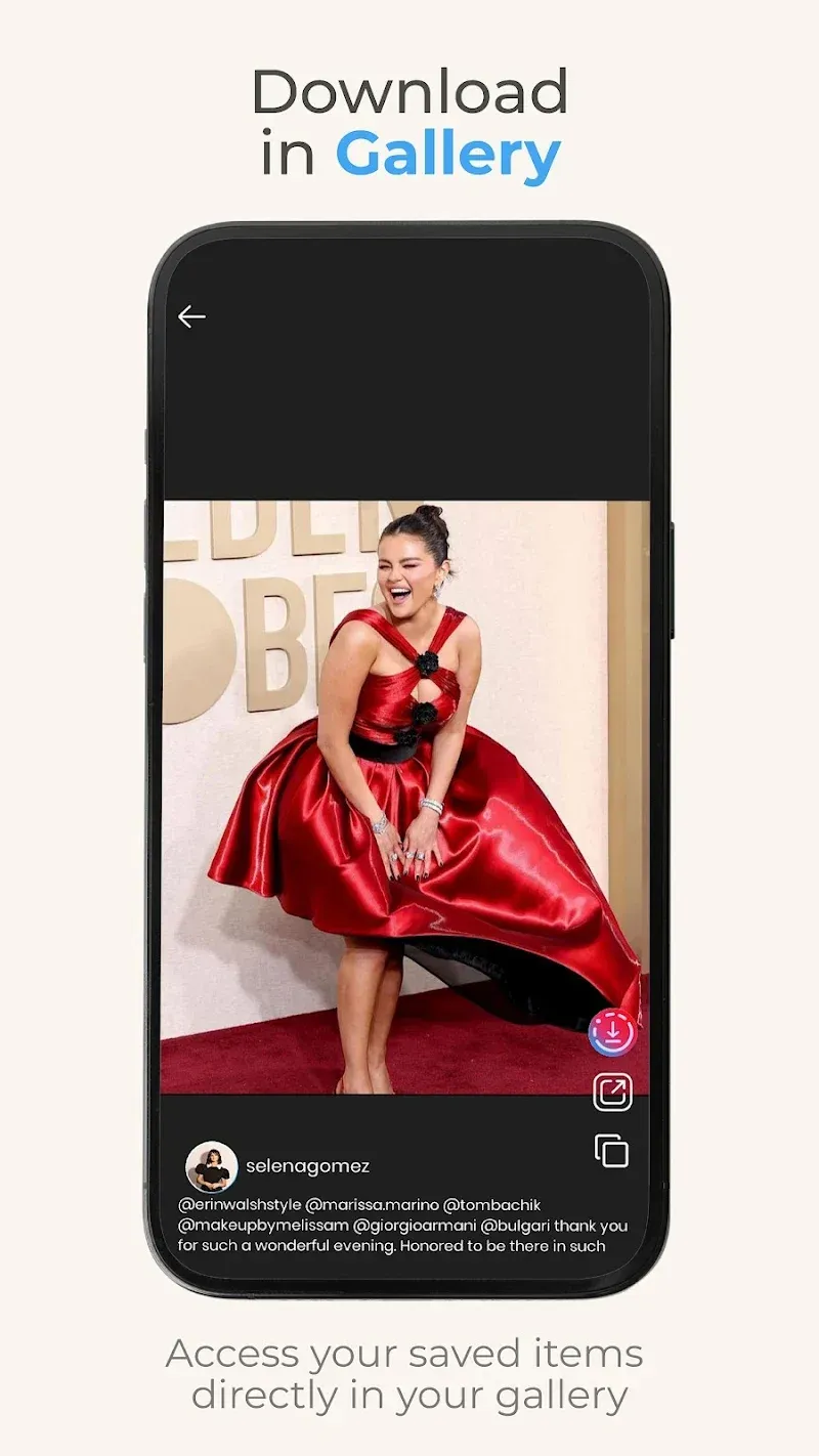 InSaver: Video & Story Saver