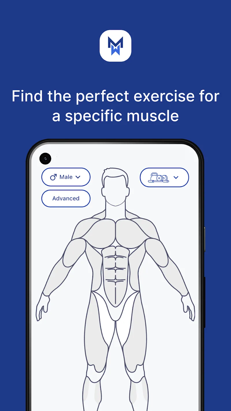 MuscleWiki: Workout & Fitness