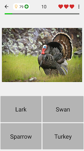 Animals Quiz - All Mammals Zoo Animals Quiz - All Mammals Zoo