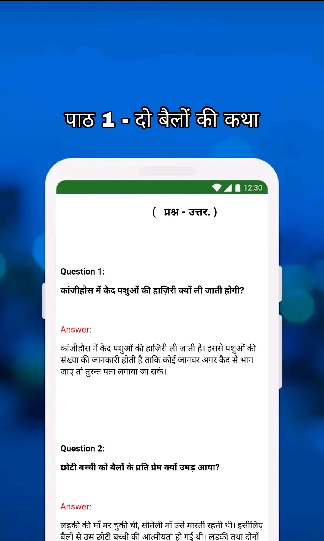 Class 9 Hindi Notes and MCQs