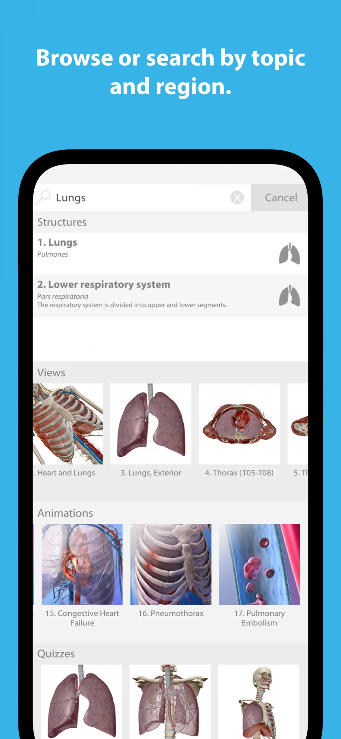Human Anatomy Atlas