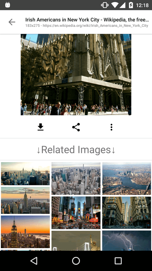 ImageSearchMan v3.35 ImageSearchMan v3.35