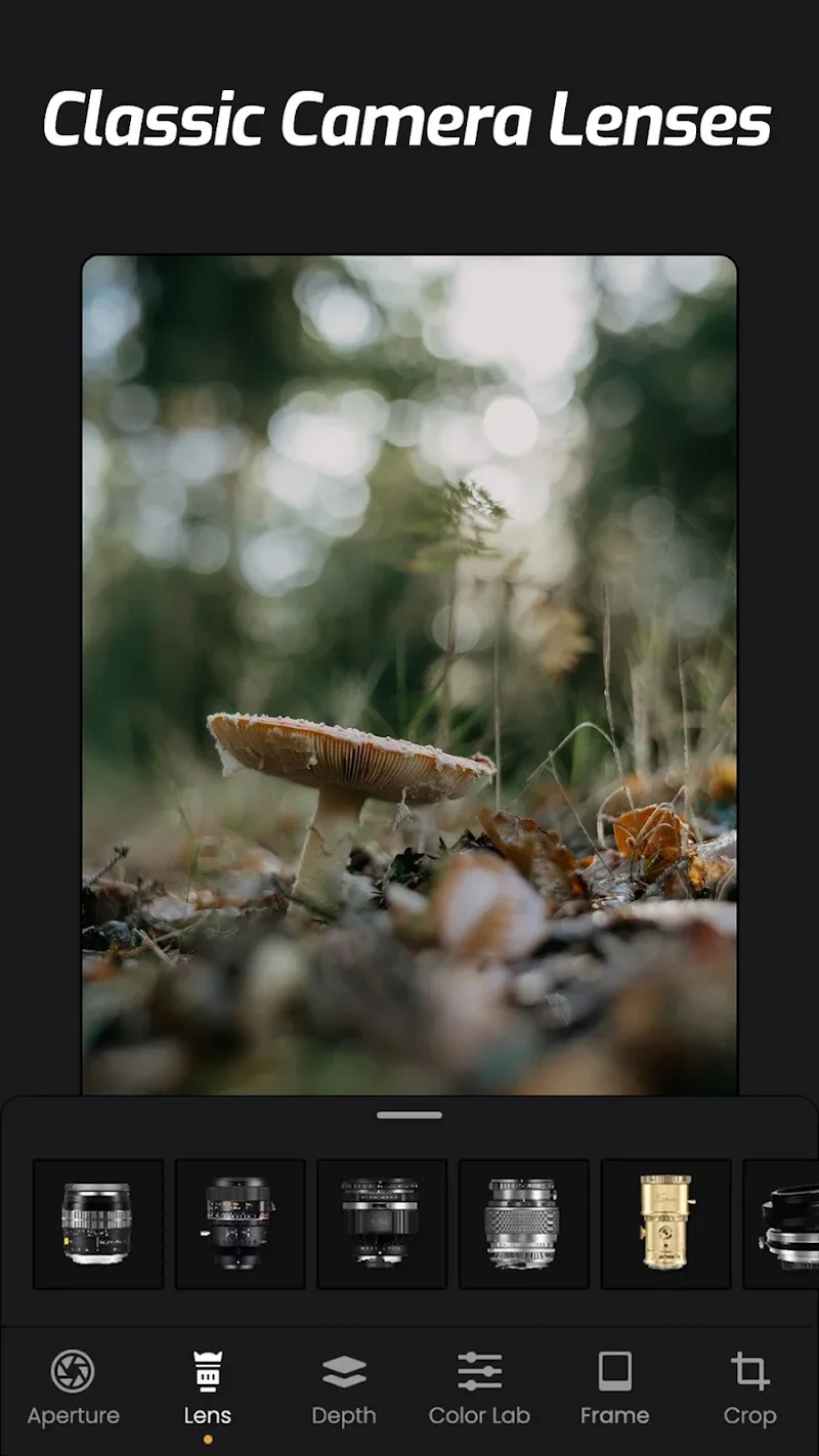 ReLens Camera-Focus &DSLR Blur ReLens Camera-Focus &DSLR Blur