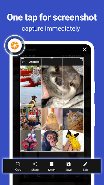 ScreenMaster:Screenshot Markup Mod
