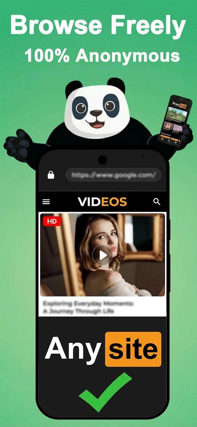 Panda VPN