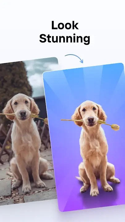 PhotoRoom v2025.07.04