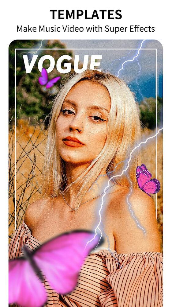 Mivo Mivo