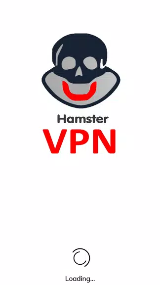 Hamster VPN Proxy: Browsing