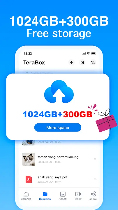Terabox Premium