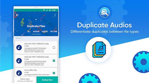 Duplicate Files Fixer