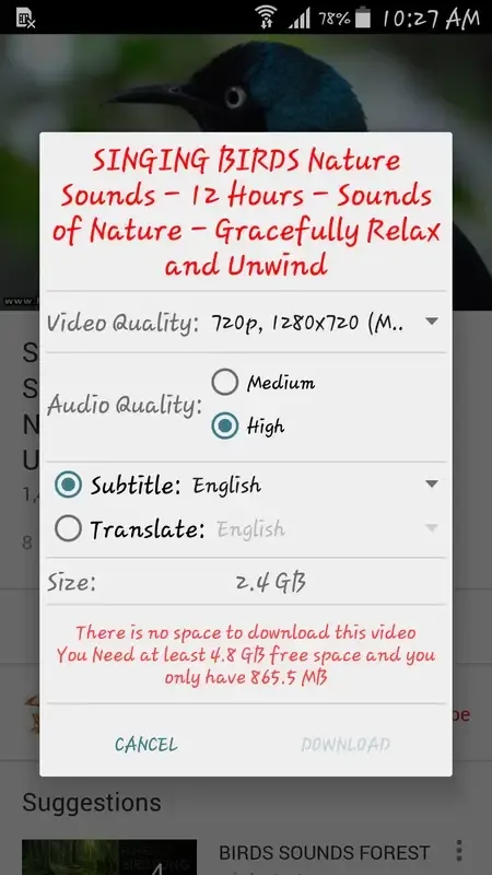 OG Youtube