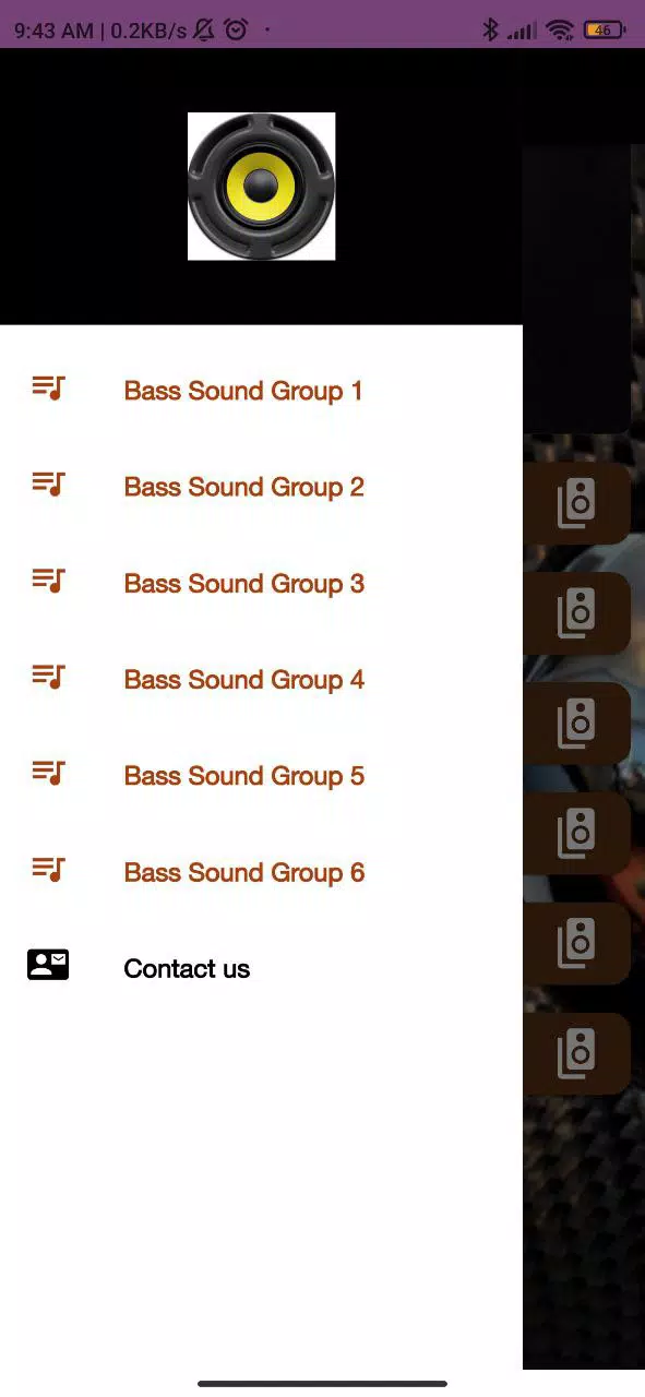 Subwoofer Bass