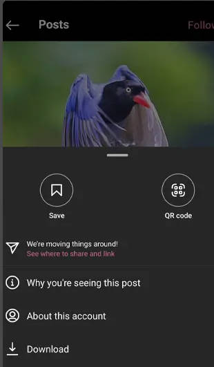 MyInsta Mod