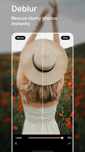 PhotoDirector APK PhotoDirector APK