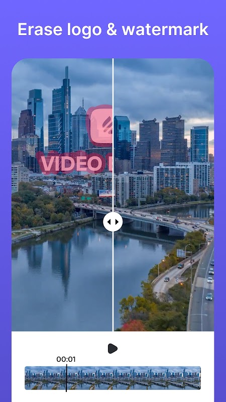 Video Object Watermark Remover Video Object Watermark Remover