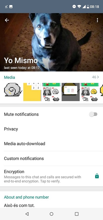 GBWhatsApp Pro