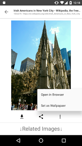 ImageSearchMan