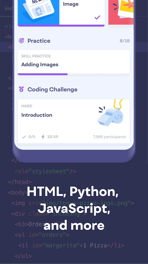 Learn Python Coding - Mimo