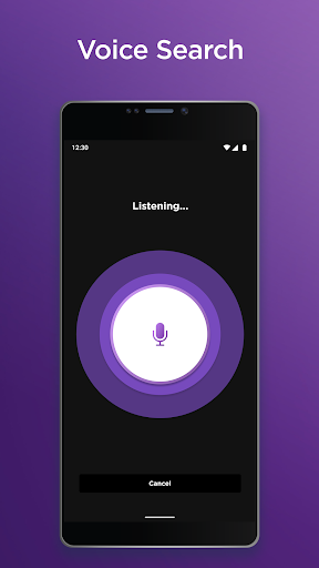 Roku Mod