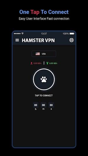 Hamtser VPN
