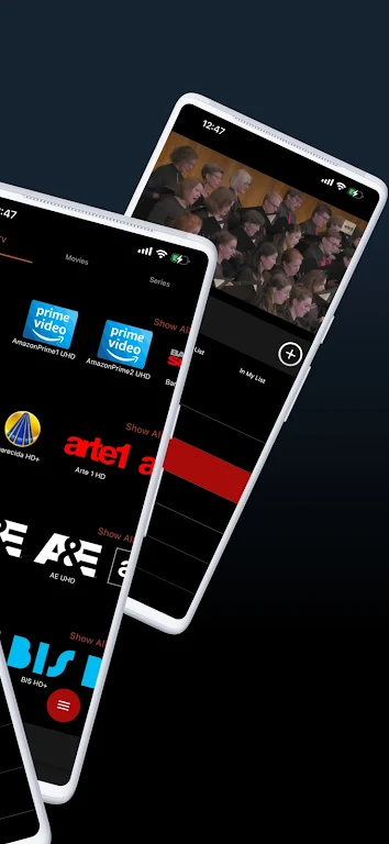 RedFlix TV