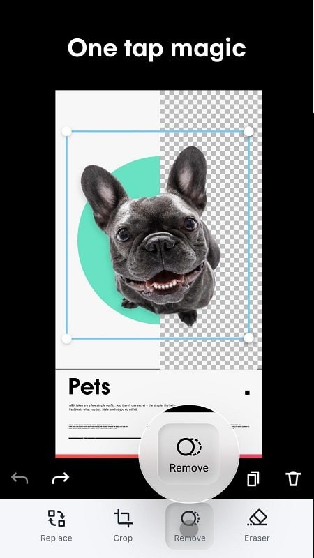 FocoDesign