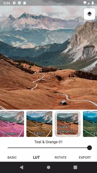 3DLUT mobile 2
