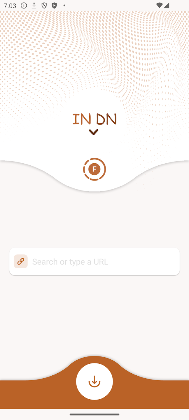 InstaDown
