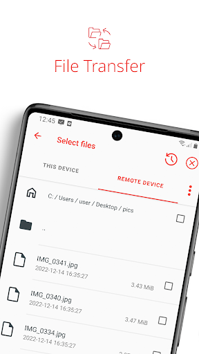 AnyDesk