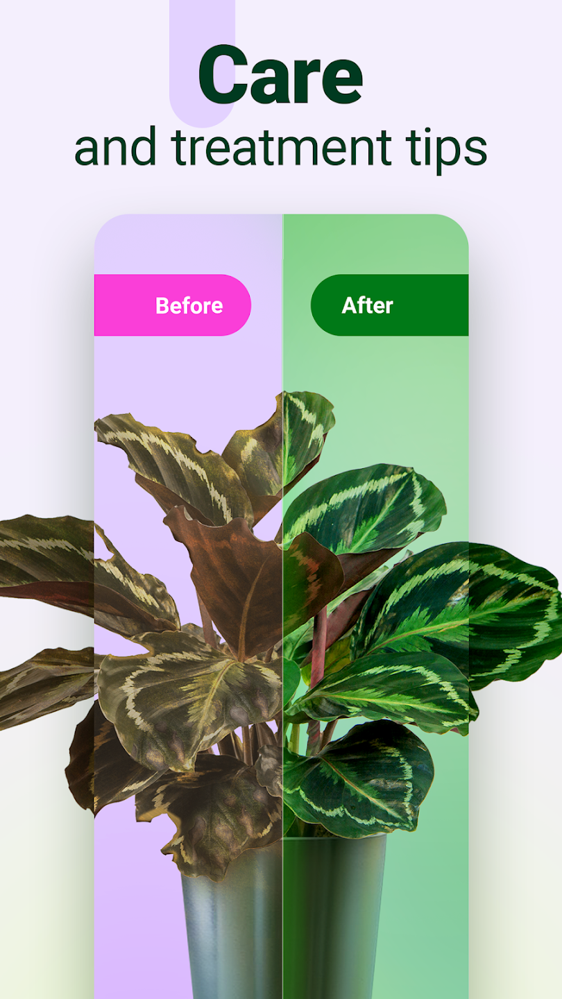 Plantum