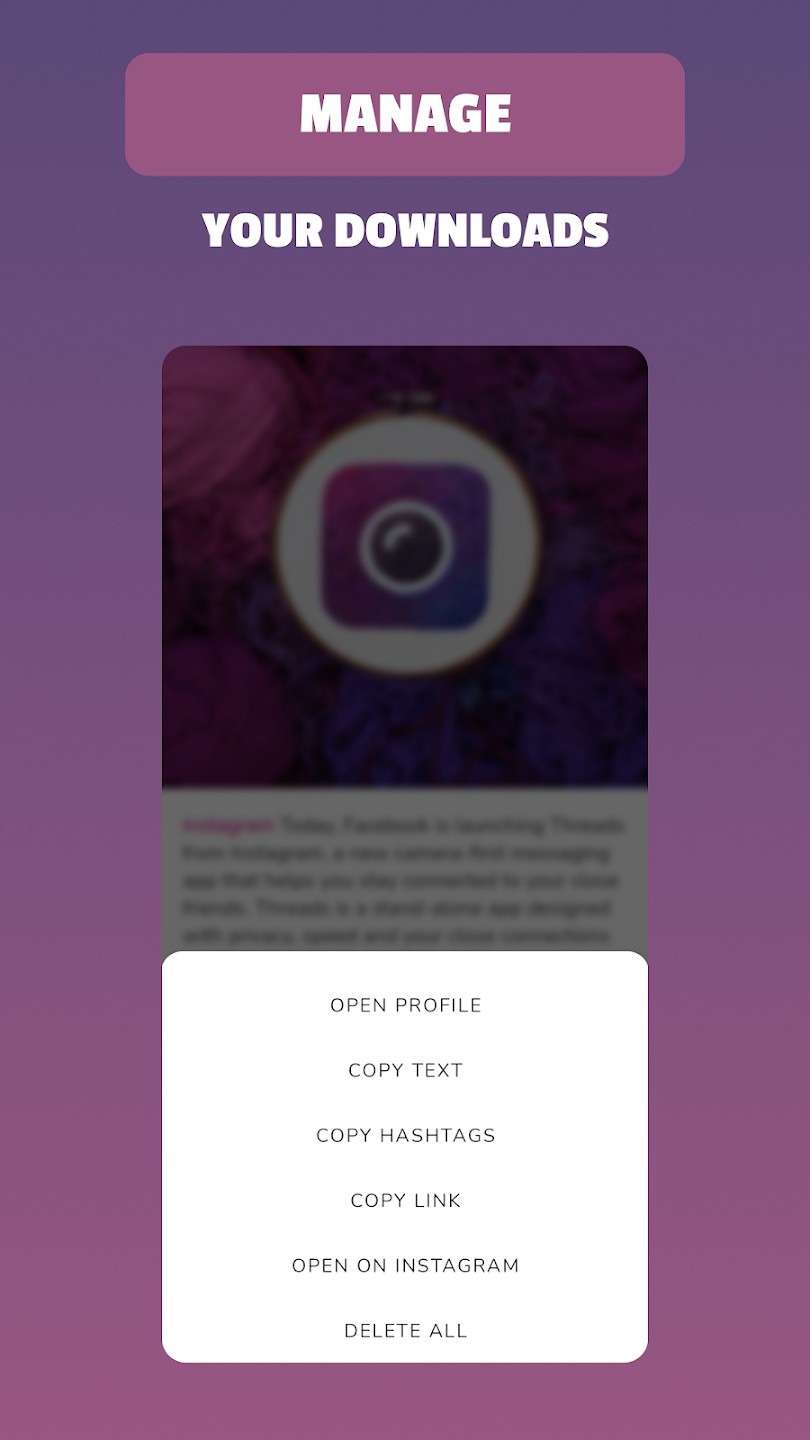 Insget - Video & Story Saver