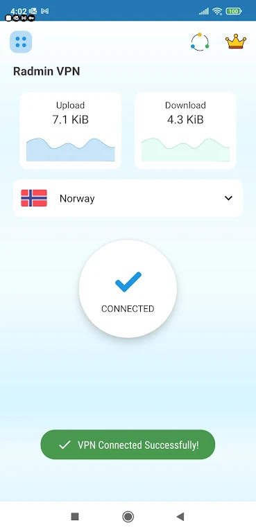 Radmin VPN