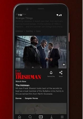 NetflixMirror